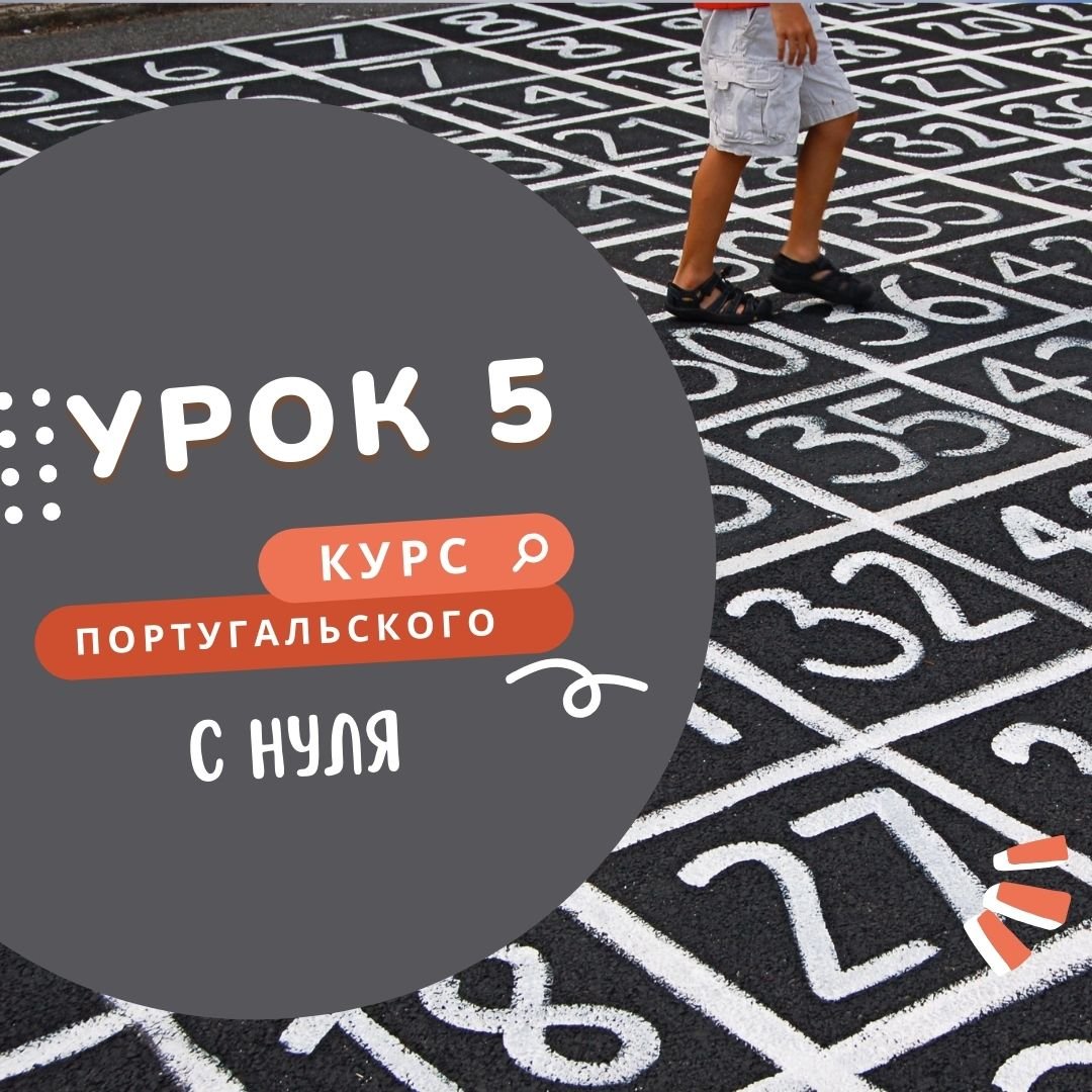 Курс португальского. Урок 5: ter, мой, множественное число - Multilingua  blog