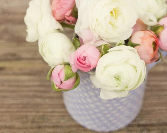 cate sheffer etsy 1