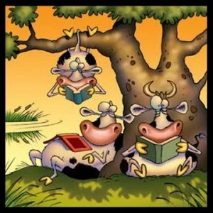 Las vacas estudiosas