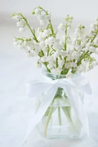 Des brins de muguet