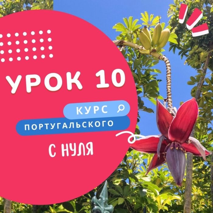 курс португальского